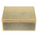 Box plasic Fulga golden M, H8.5x20x15cm