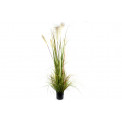 Декоративное растение Reed, h150cm