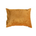 Decorative Velvet pillowcase Celebrity, golden 45x33cm
