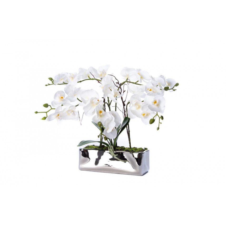 Orchid in pot, white, H35x22x9cm