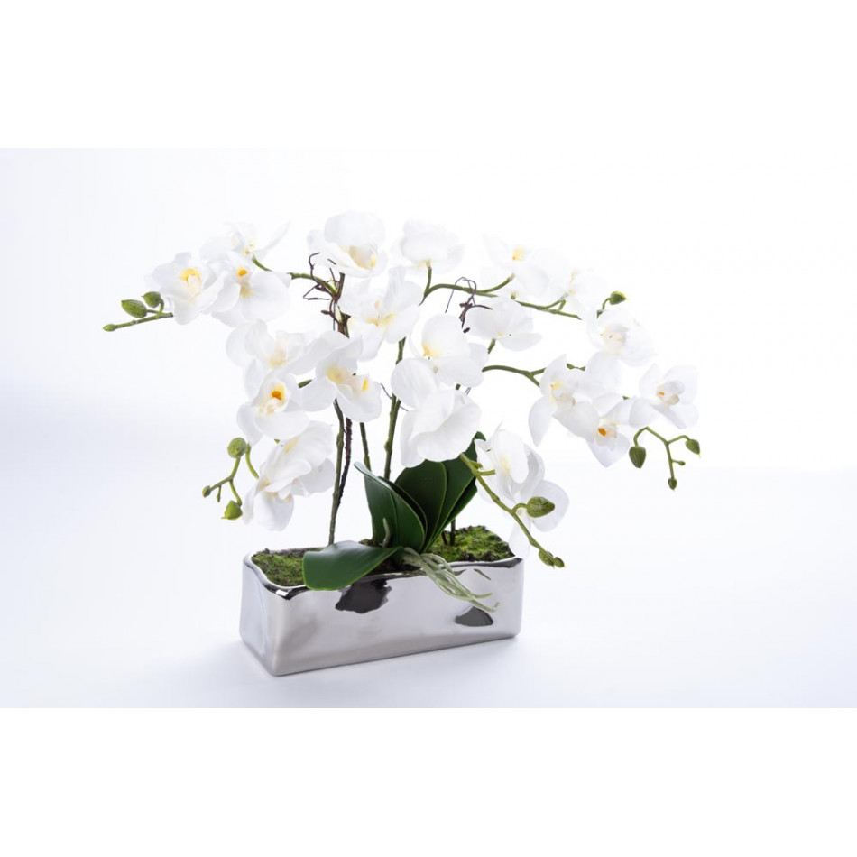 Орхидея в горшке, белая, H35x22x9cm