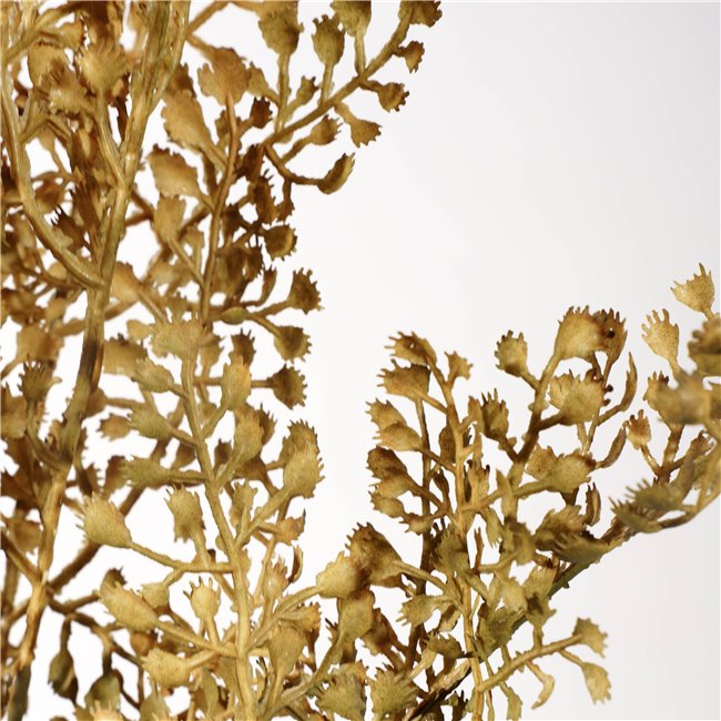 Decorative plant Cypress leaf spay, yellow/brown, H98cm