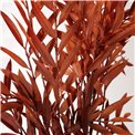 Decorative plant Salix matsudana spray, H108cm