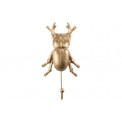 Wall hanger Beetle, 19x10x4.5cm