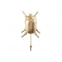 Wall hanger Beetle, 18x9x5cm