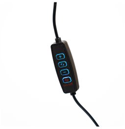 Floor lamp Monor, black, H145x20x4.7cm, LED 7W, 3000K, 590lm