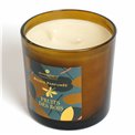 PFM candle Plum wood berry, 400g., H10cm, D10.3cm