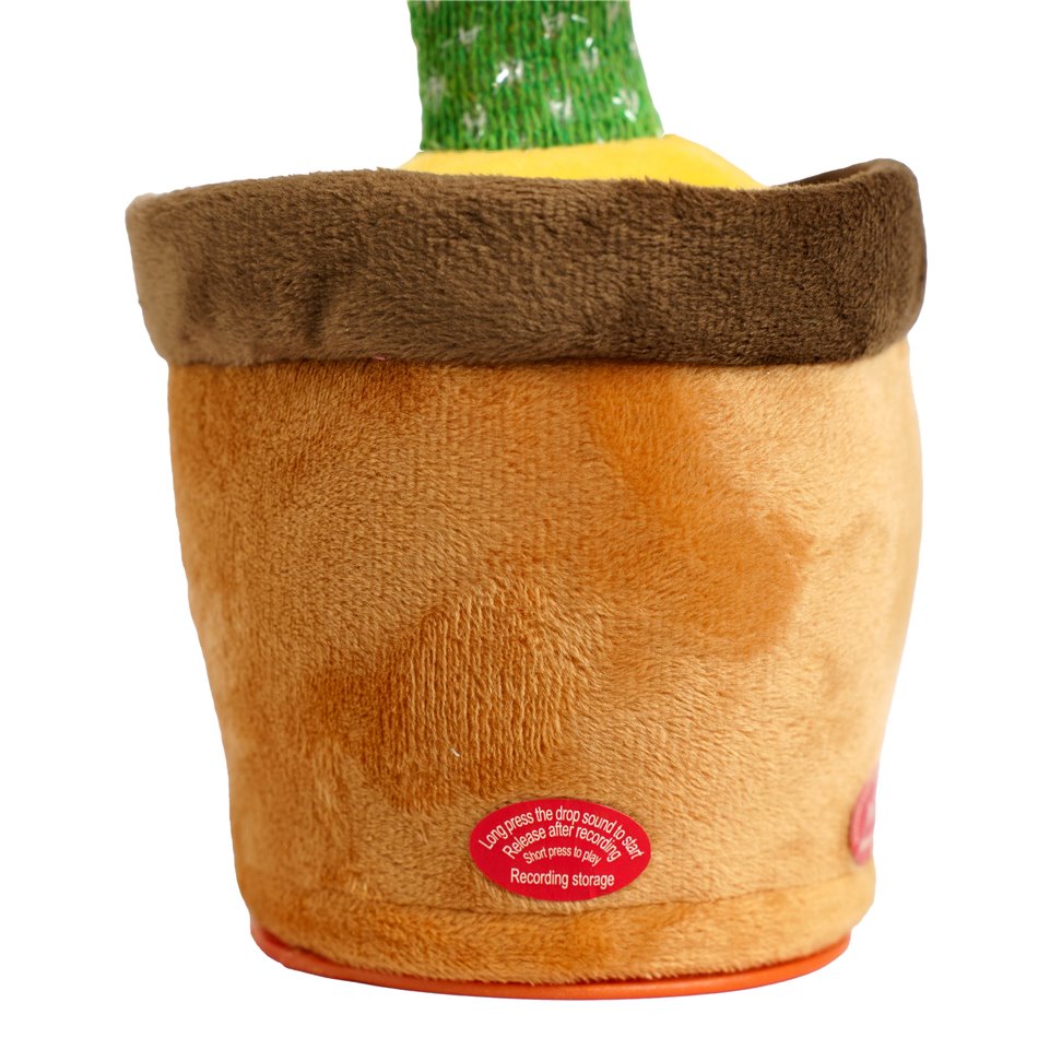 CACTUS DANSANT, H31x13x13cm