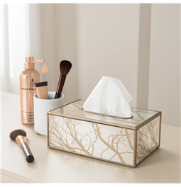 Plastic tissue box Fegen, 25x13.5x9.8cm