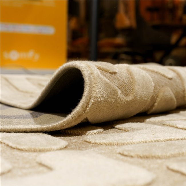 Carpet Farashe 81, beige, 140x100cm
