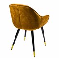 Chair Saronno, golden, H81x58x63cm, seat height 46cm