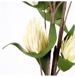 Декоративное растение Eryngium planum SK3, 119cm