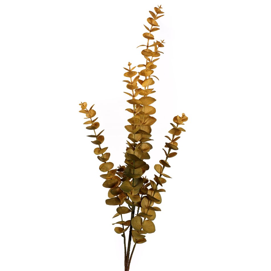 Decorative plant Berberis GR/BR, H90cm
