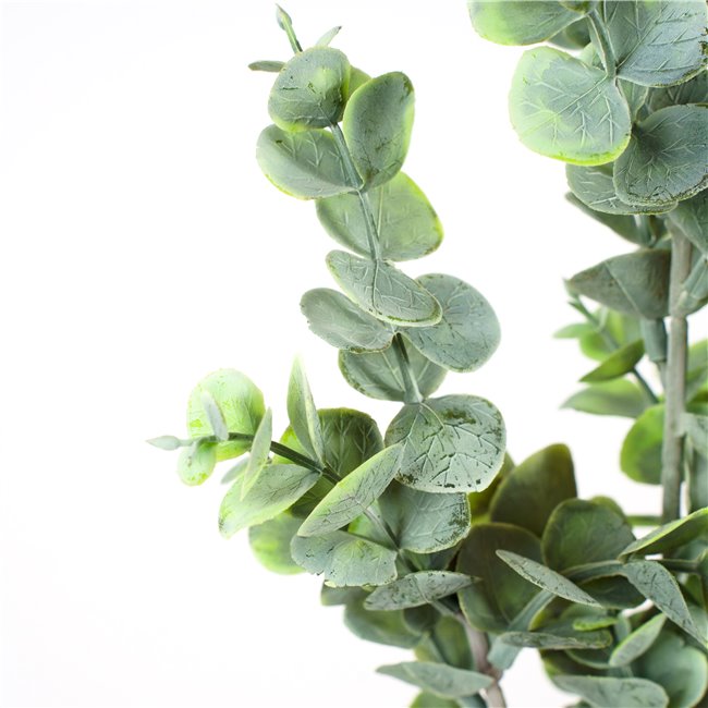 Decorative plant Berberis Green/white, H65cm