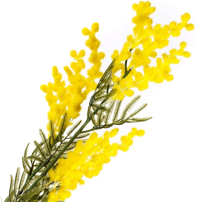 Decorative plant Mimoza Yellow, H86cm