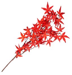 Decorative plant Mountain Fire red, H65cm