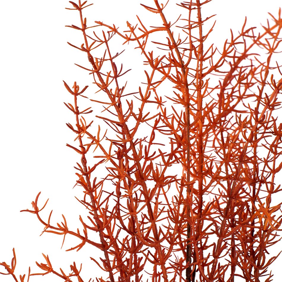 Decorative plant Salixy Gracilus, brown, H100cm