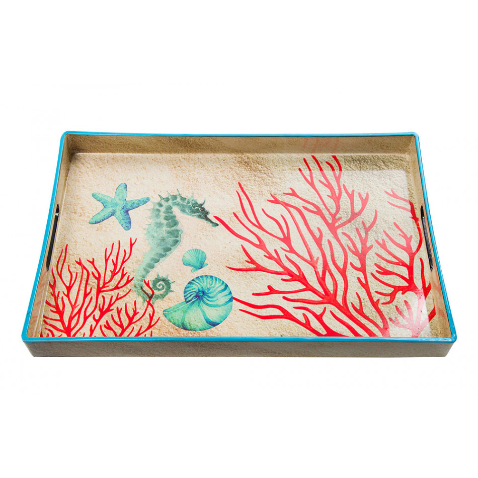 Tray Coral S, 40x26x3.6cm