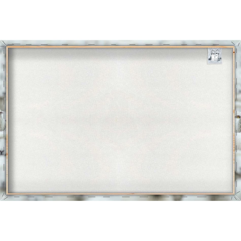 Картина на холсте Black Sheep, 80x120cm