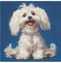 Canva White Fluffy, 40x40cm