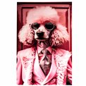 Glass picture Pink pudel, 60x90x0.4cm