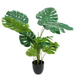 PHILO MONSTERA DELICIOSA, H110x84x79cm