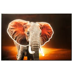 Glass picture Elephant at sunset LED, 120x80x3.5cm