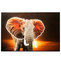 Glass picture Elephant at sunset LED, 120x80x3.5cm