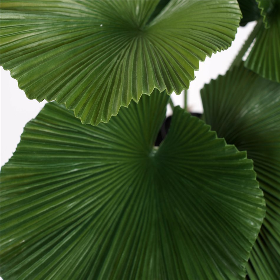 PALMIER POT PL, H65x62x62cm