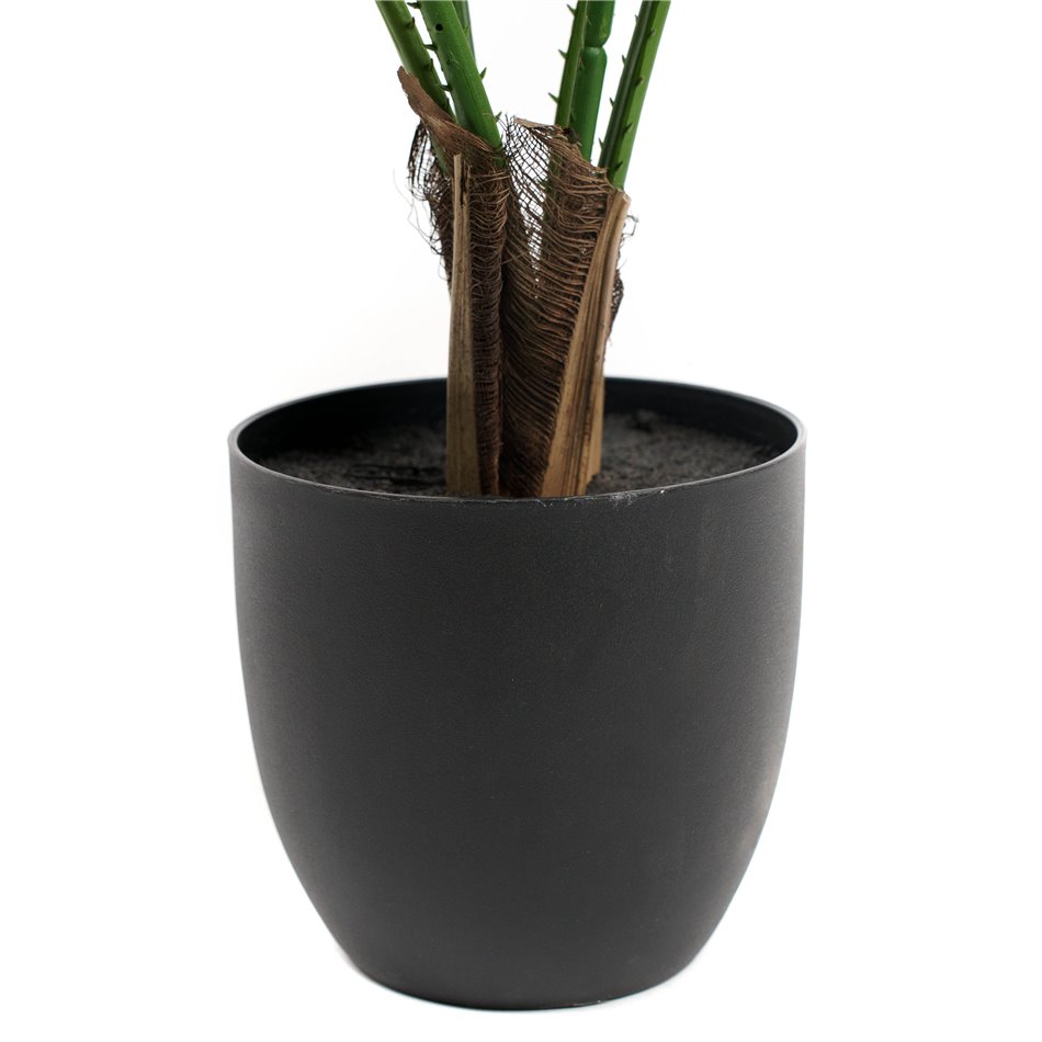 PALMIER POT PL, H65x62x62cm