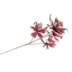 Decorative plant Zephyrante rosea, H103cm