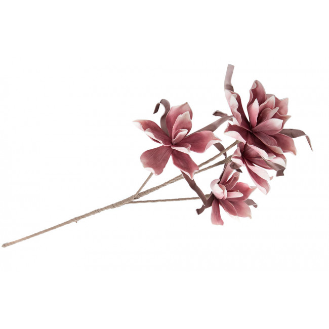 Декоративное растение Zephyrante rosea, H103cm