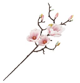 Decorative branch Magnolija R042, H92cm