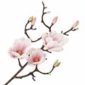 Decorative branch Magnolija R042, H92cm