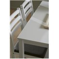 Dining table with 4 chairs Alicante, white, H74.5x70x110cm