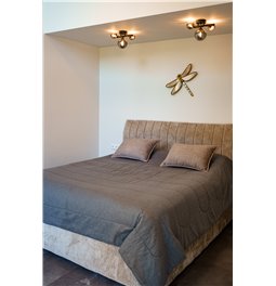 Wall decoration Dragonfly, 46x36x5cm