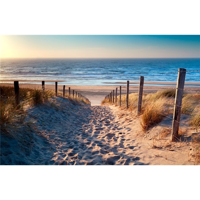 Canva Sand path to the sea, 80x120cm