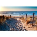 Canva Sand path to the sea, 80x120cm