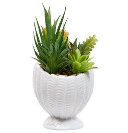 PLANTE COQUILLAGE OCEA, H20x14.5x10cm