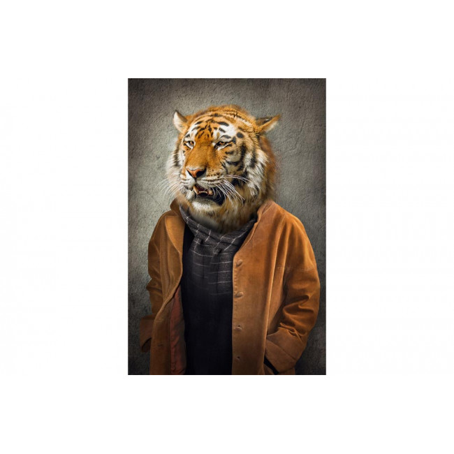 Picture Tiger with cardigan, 80x120cm