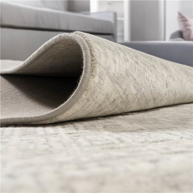 Carpet Canyon 6484, light grey, 240x330cm