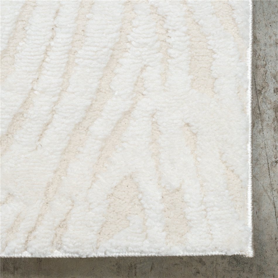 Carpet Alloy 54406/B6Y/W, cream color, 280x370cm