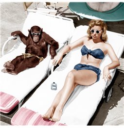 Canva Sunbath, 95x95cm