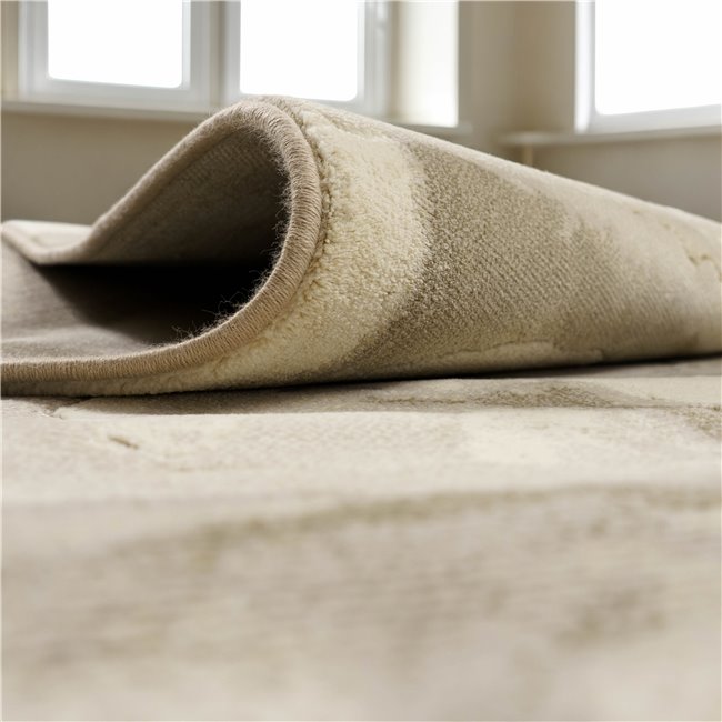 Carpet Argentum 6575, 160x230cm
