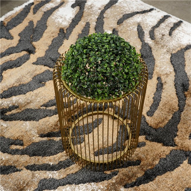 Carpet Masai 00-6262, 200x290cm