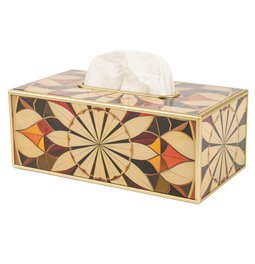Plastic tissue box Fussy, 25x13.5cm H9.8cm