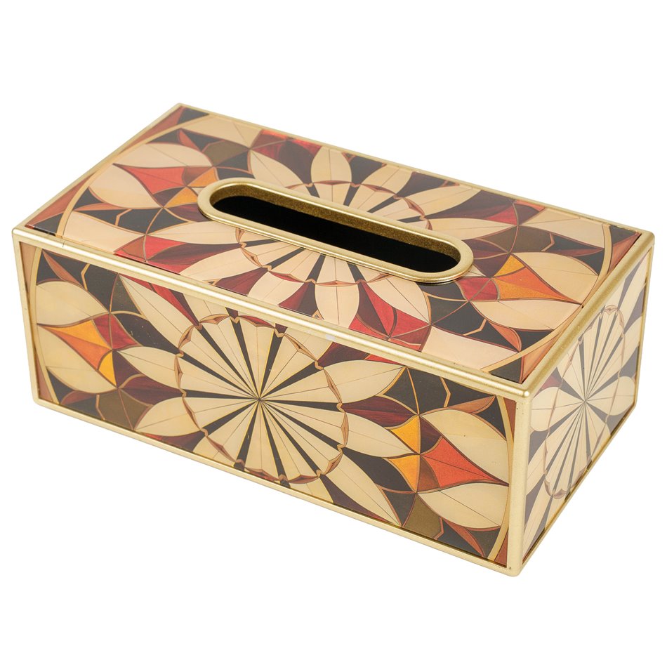 Plastic tissue box Fussy, 25x13.5cm H9.8cm