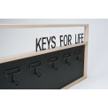 Key hanger with 5 hooks, 50x26cm