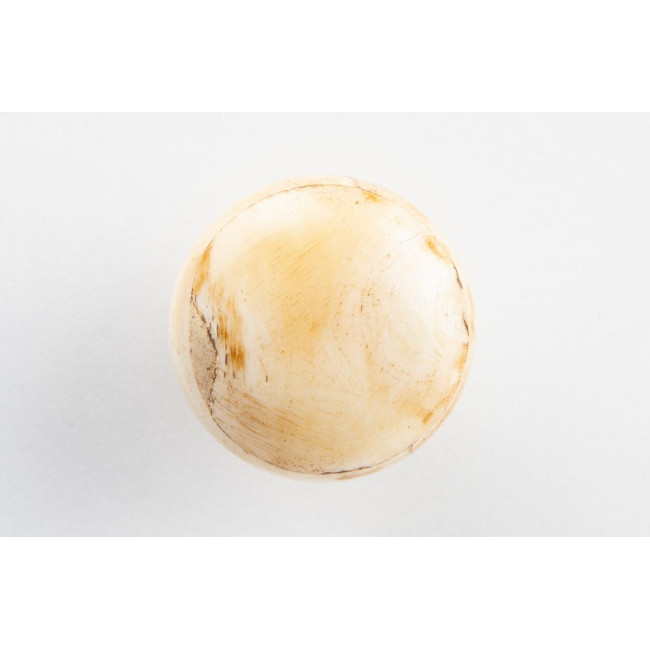 Furniture handle Bone plain, H30x30x40mm