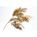 Dekoratyvinis augalas papartis CALIFORNIA, auksinės sp., 77cm